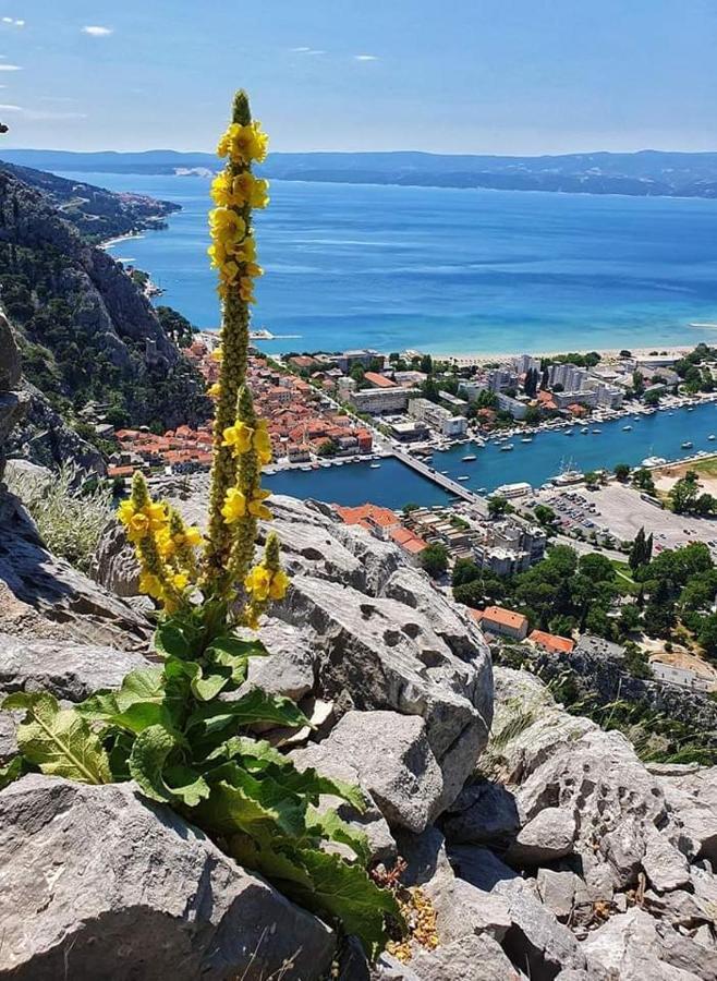 Amazing Sea View Leilighet Omiš Eksteriør bilde